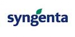 Syngenta is a world-leading agri-business committed to sustainable agriculture through innovative research and technology.